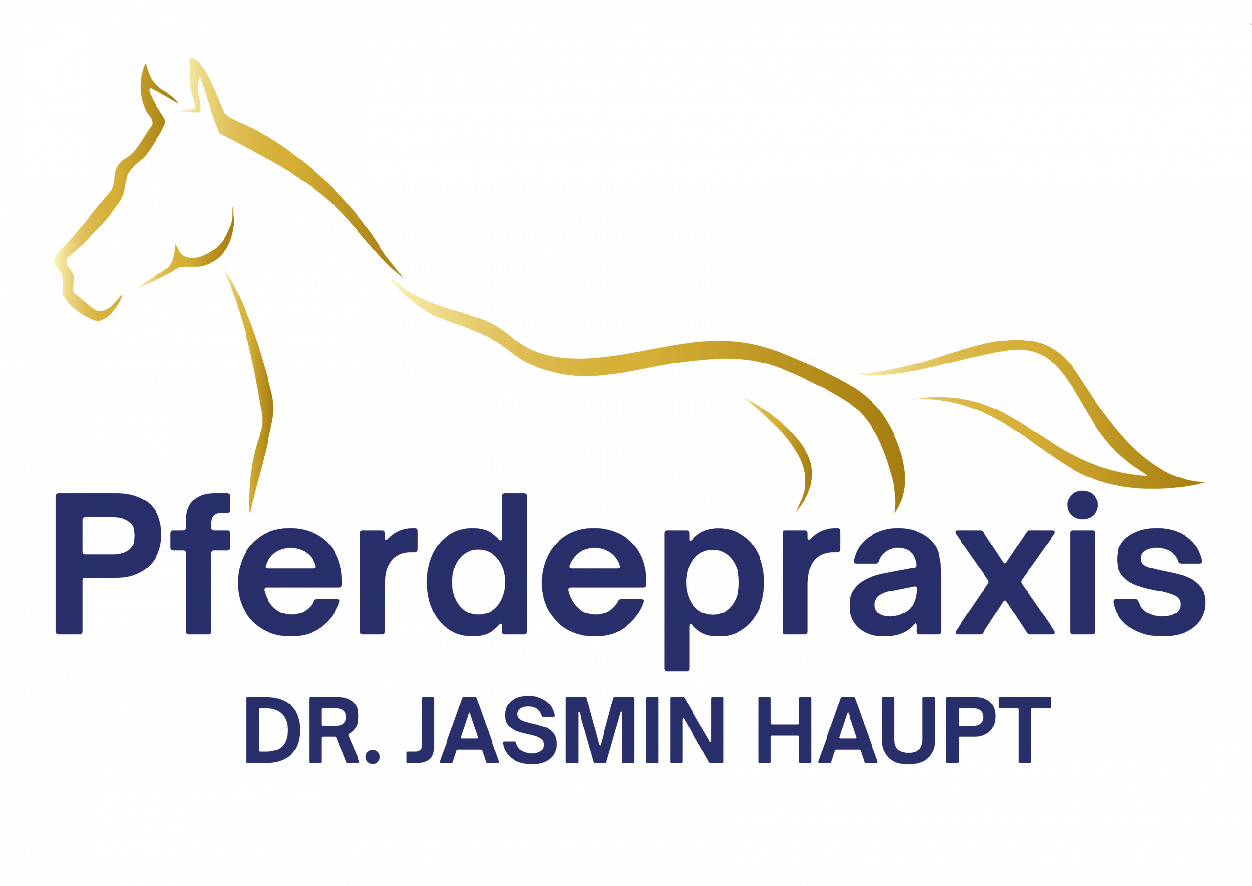 Pferdepraxis Dr. Jasmin Haupt